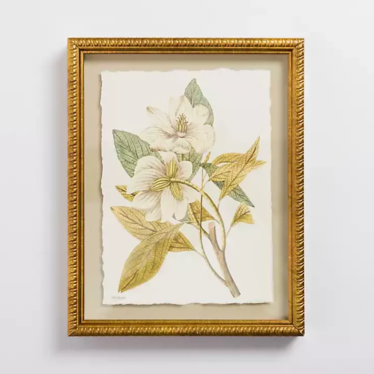 Framed Art-Kirklands Home Vintage Floral Gold Framed Art Print White