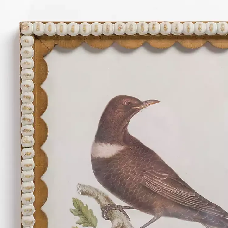 Framed Art-Kirklands Home Brown Birds Scalloped Framed Art Print