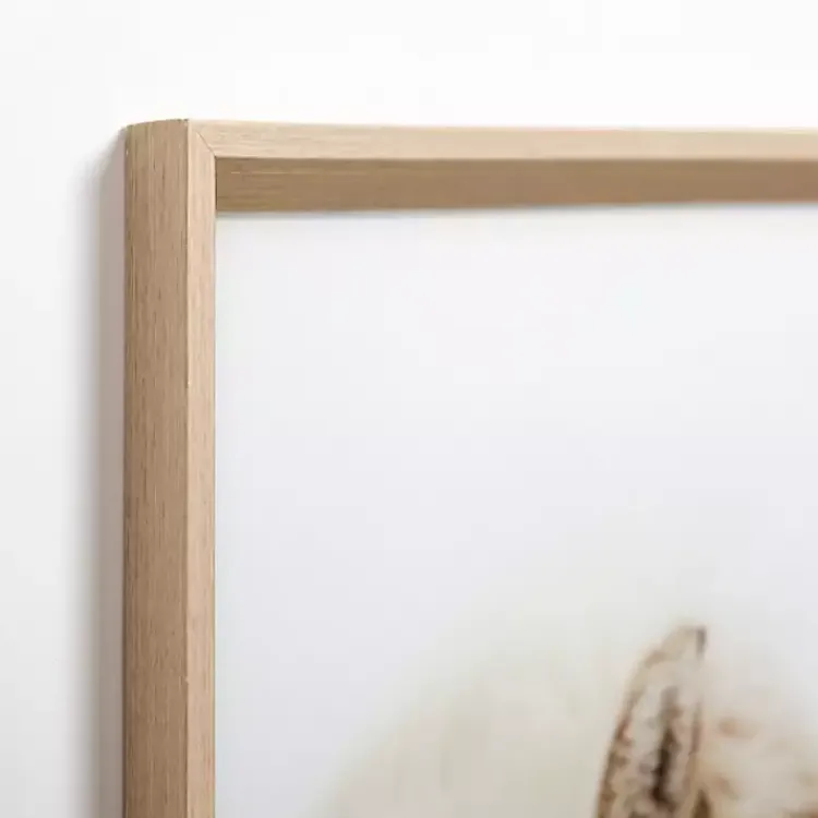 Framed Art-Kirklands Home Horse Snuggle Framed Art Print