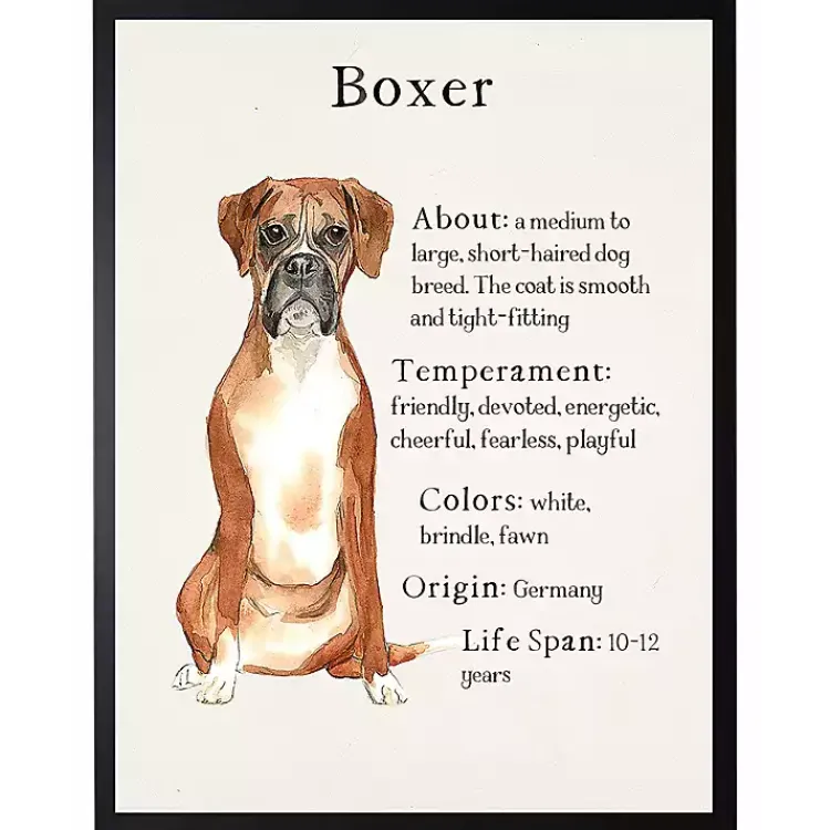 Wall Quotes & Signs-Kirklands Home Boxer Facts Framed Wall Plaque White