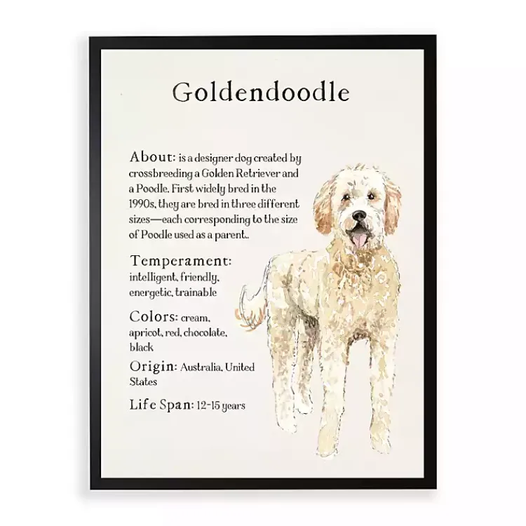 Wall Quotes & Signs-Kirklands Home Goldendoodle Facts Framed Wall Plaque