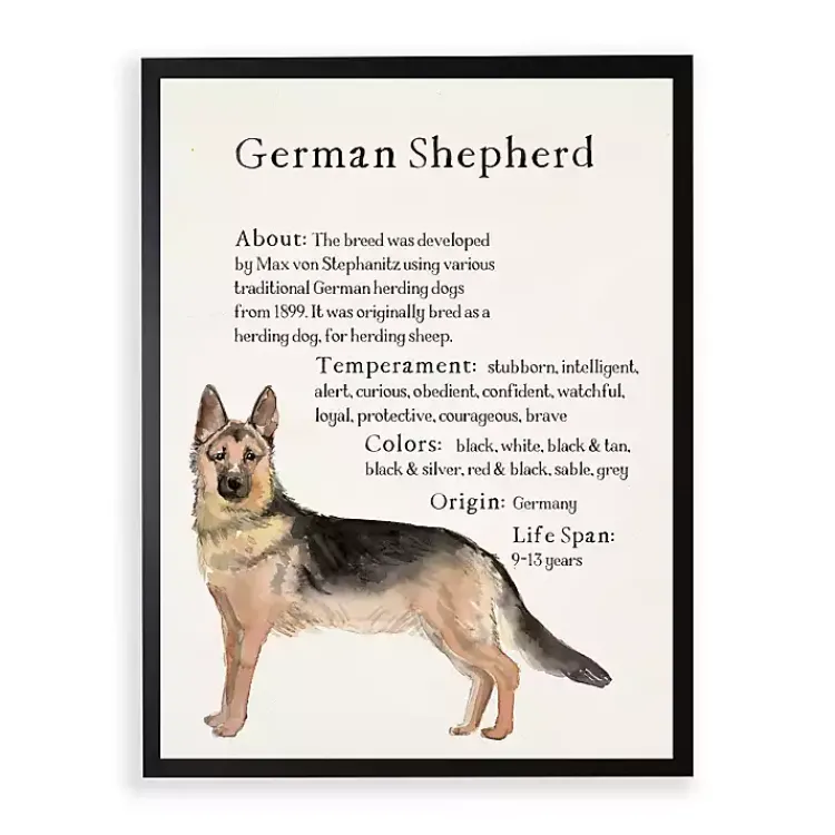 Wall Quotes & Signs-Kirklands Home German Shepherd Facts Framed Wall Plaque