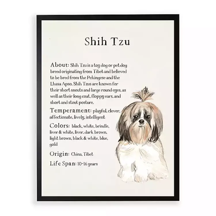 Wall Quotes & Signs-Kirklands Home Shih Tzu Facts Framed Wall Plaque White