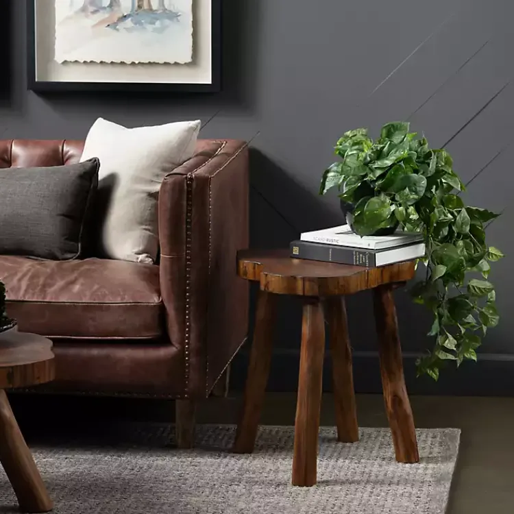 Accent & End Tables-Kirklands Home Rustic Natural Woodland Accent Table Brown