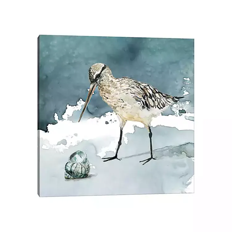 Canvas Art-Kirklands Home Delray Sandpiper Canvas Art Print Blue