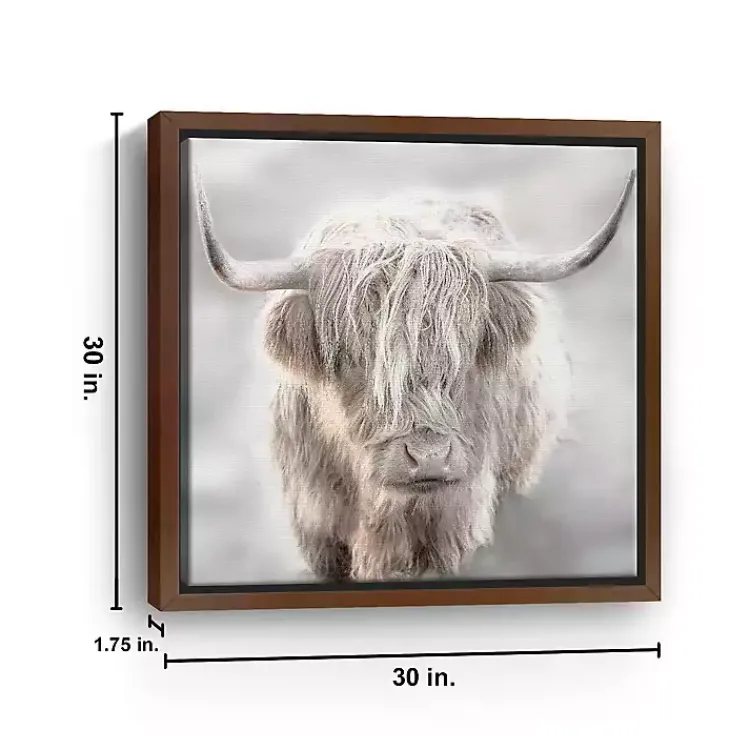 Canvas Art-Kirklands Home Solo Highland Cow Framed Canvas Art Print, 30x30 Gray