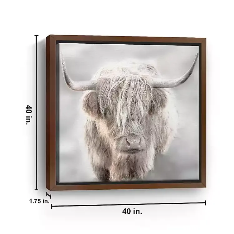 Canvas Art-Kirklands Home Solo Highland Cow Framed Canvas Art Print, 40x40 Gray