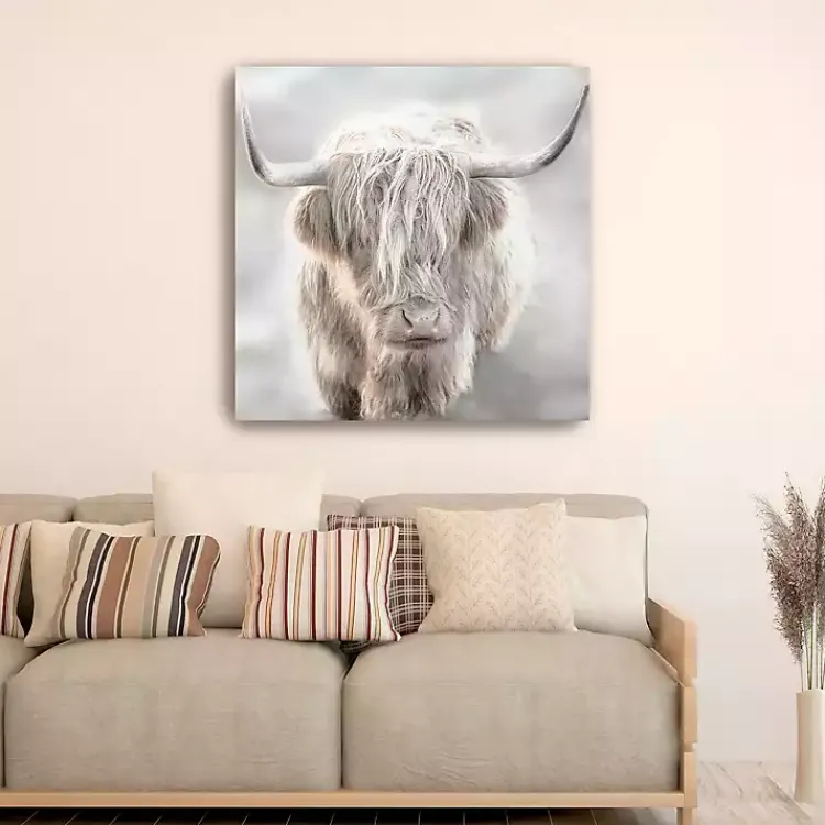 Canvas Art-Kirklands Home Solo Highland Cow Canvas Art Print, 40x40 Gray