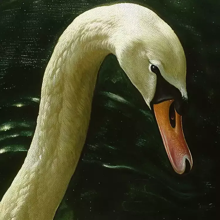 Canvas Art-Kirklands Home Royal Swan Framed Canvas Art Print