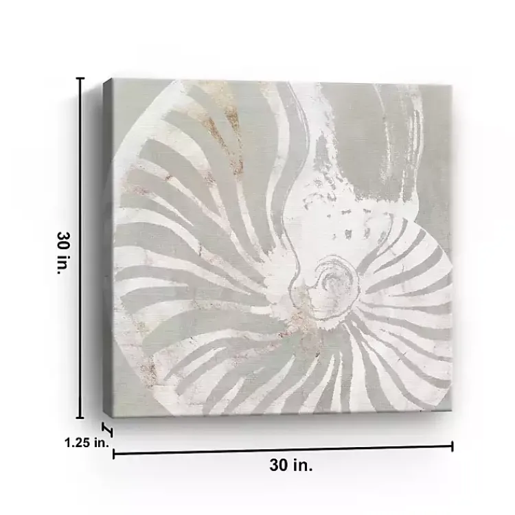 Canvas Art-Kirklands Home Seashell Close Up Canvas Art Print