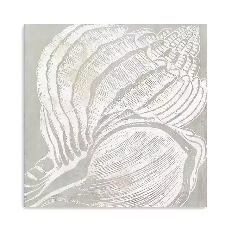 Canvas Art-Kirklands Home Spiral Seashell Close Up Canvas Art Print