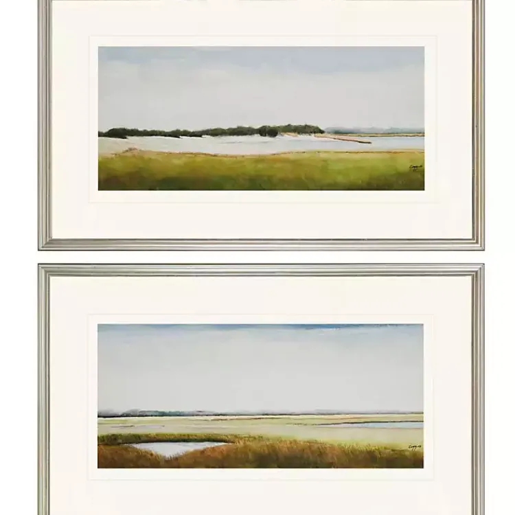 Framed Art-Kirklands Home Marshlands II Framed Art Prints, Set of 2