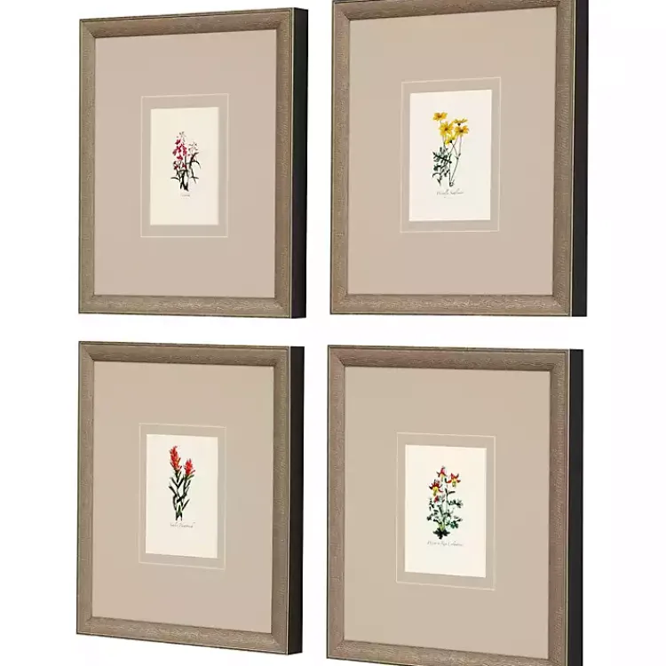 Framed Art-Kirklands Home Western Wildflower Framed Art Prints, Set of