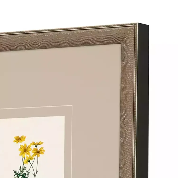 Framed Art-Kirklands Home Western Wildflower Framed Art Prints, Set of