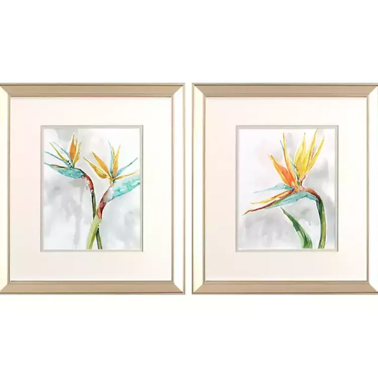 Framed Art-Kirklands Home Bird of Paradise Framed Art Prints, Set of 2