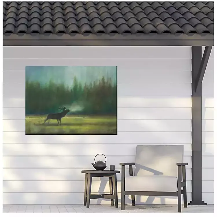 Outdoor Wall Decor-Kirklands Home Elk in the Wild Outdoor Canvas Art Print