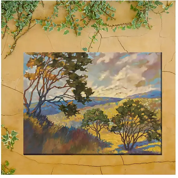 Outdoor Wall Decor-Kirklands Home No Boundaries Outdoor Canvas Art Print Multi