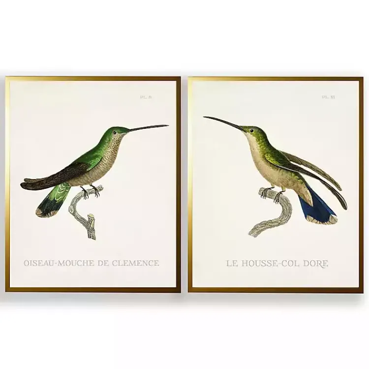 Framed Art-Kirklands Home Vintage Hummingbird II 2-pc. Framed Art Print Set