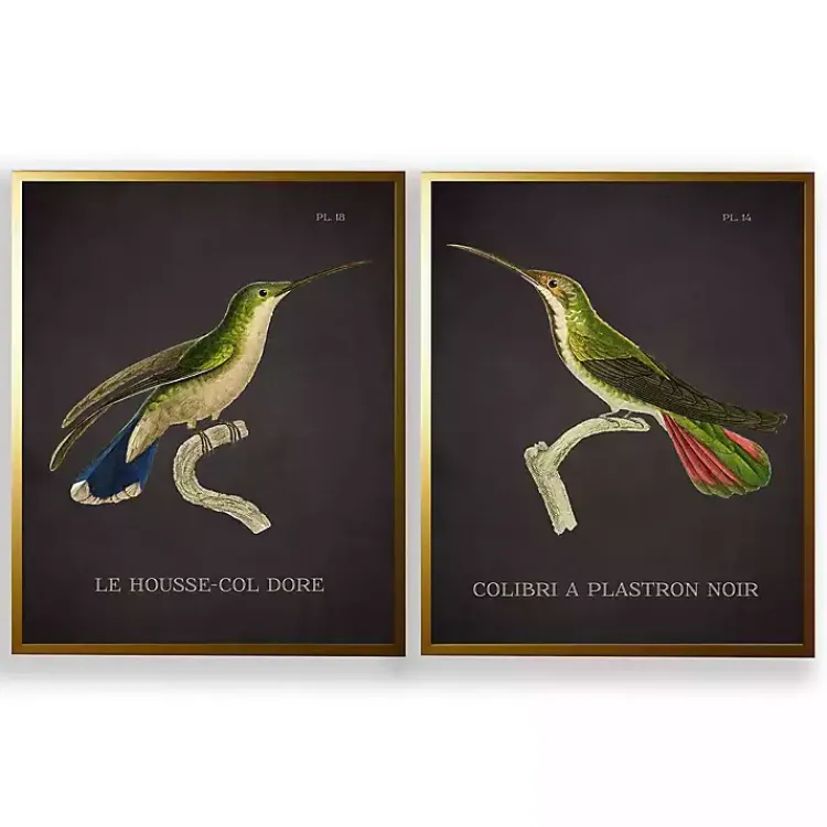 Framed Art-Kirklands Home Vintage Hummingbird IV 2-pc. Framed Art Print Set