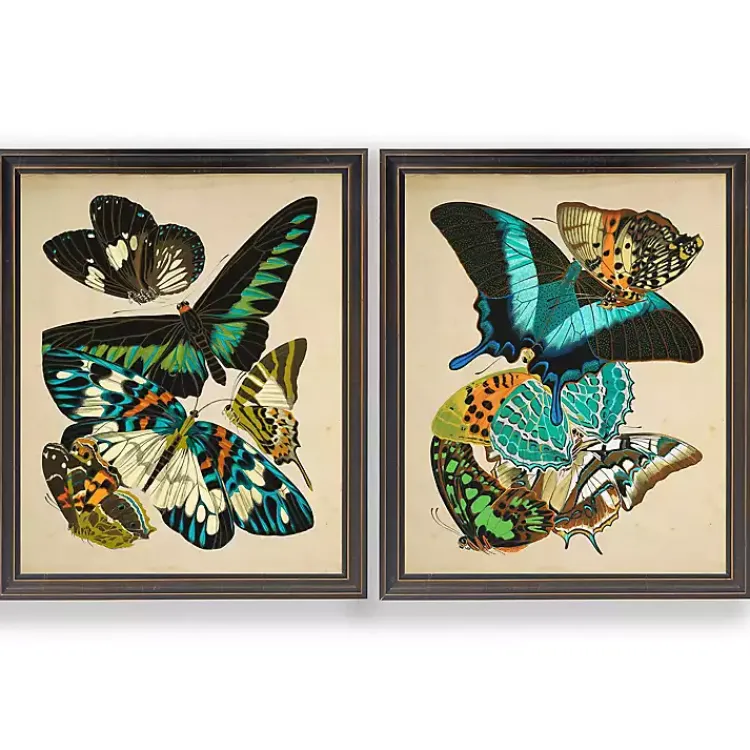 Framed Art-Kirklands Home Vintage Butterflies II Framed Art Prints, Set of 2 Multi