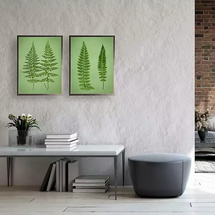 Framed Art-Kirklands Home Vintage Ferns I Framed Art Prints, Set of 2 Green