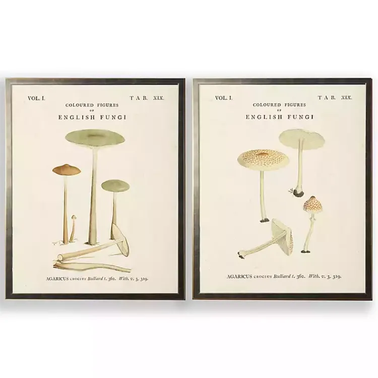 Framed Art-Kirklands Home Vintage Mushrooms I Framed Art Prints, Set of 2
