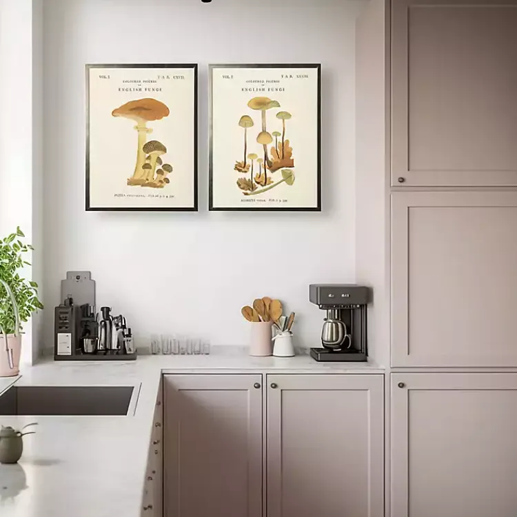 Framed Art-Kirklands Home Vintage Mushrooms II Framed Art Prints, Set of 2