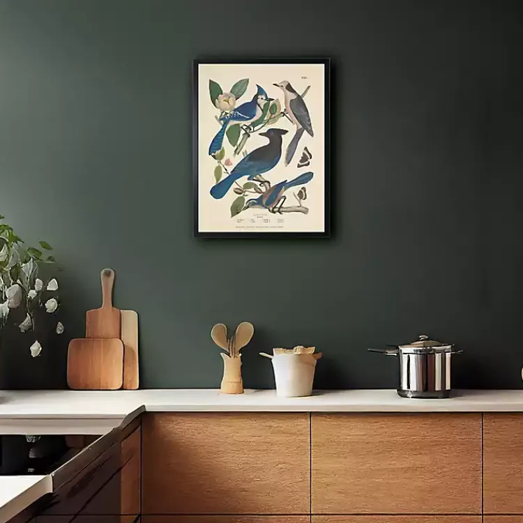 Framed Art-Kirklands Home Vintage Blue Jays Birds Framed Art Print