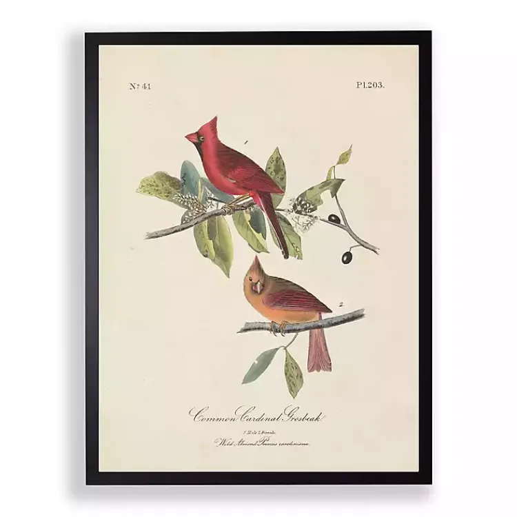 Framed Art-Kirklands Home Vintage Cardinal Birds Framed Art Print
