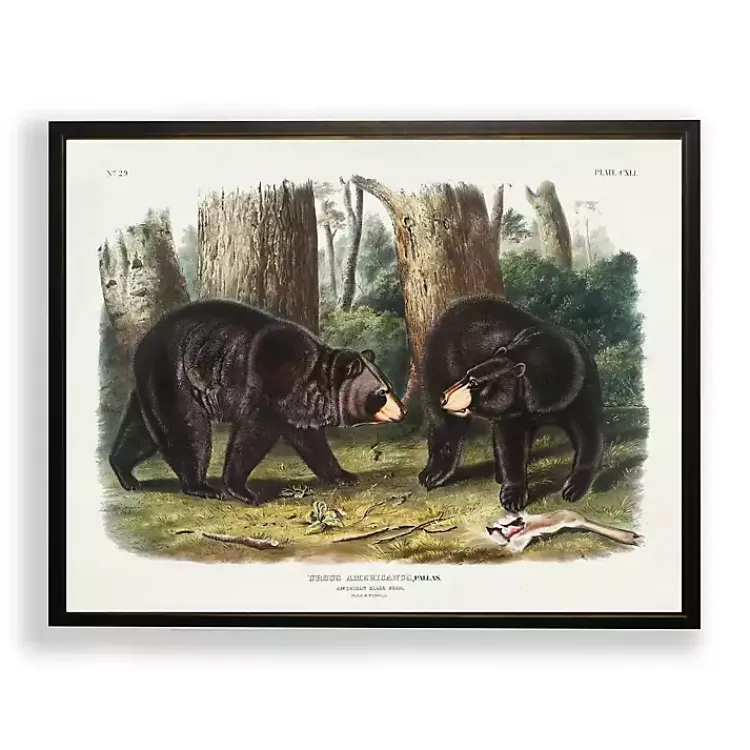 Framed Art-Kirklands Home Audubon Woodland Bears Framed Art Print