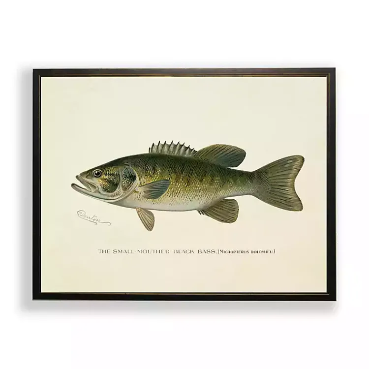 Framed Art-Kirklands Home Vintage Small Mouthed Bass Framed Art Print