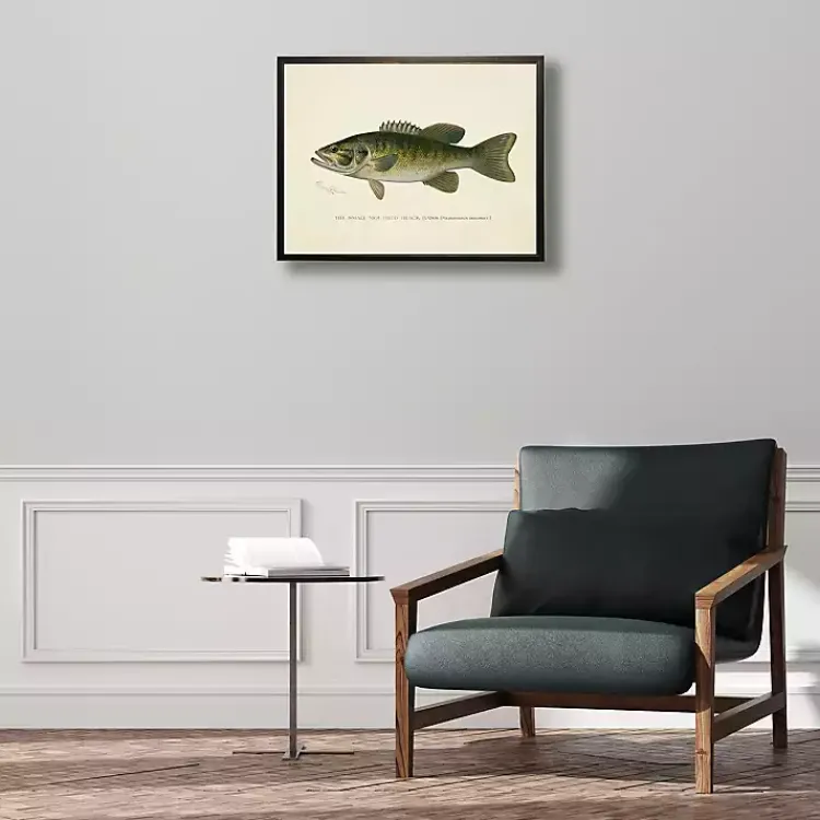 Framed Art-Kirklands Home Vintage Small Mouthed Bass Framed Art Print
