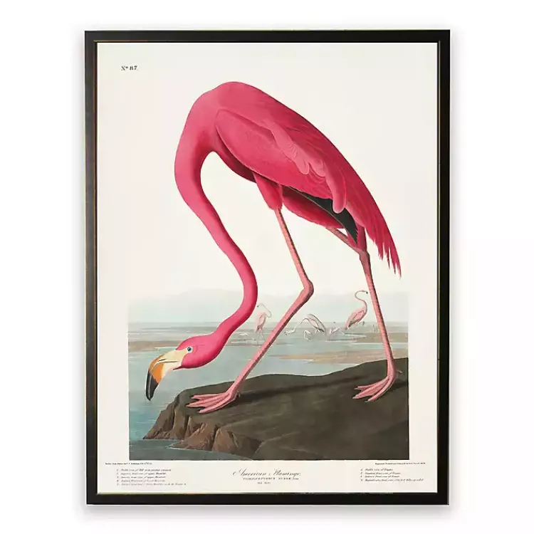 Framed Art-Kirklands Home Vintage Flamingo Bookplate Framed Art Print