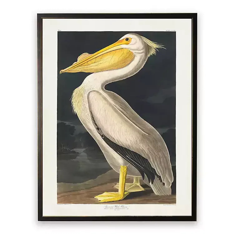 Framed Art-Kirklands Home Vintage American White Pelican Framed Art Print