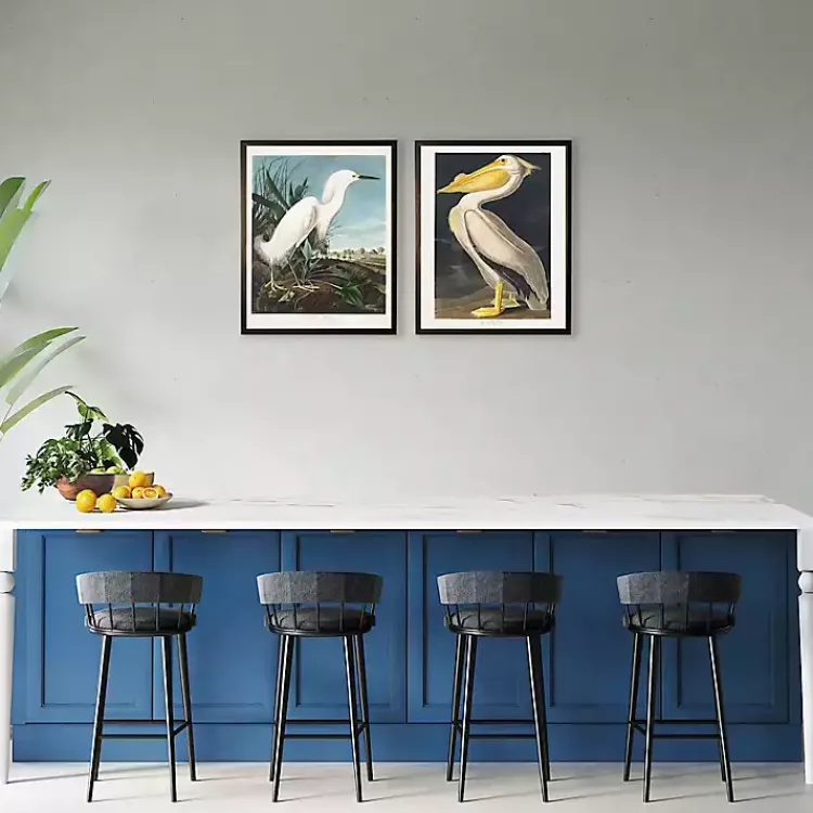 Framed Art-Kirklands Home Vintage American White Pelican Framed Art Print