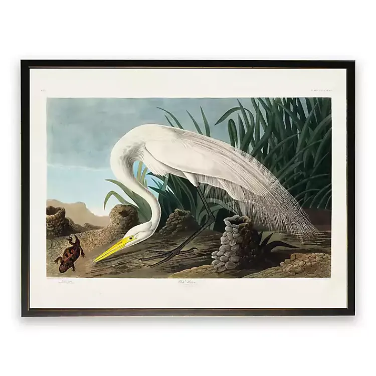 Framed Art-Kirklands Home Vintage White Heron With Lizard Framed Art Print