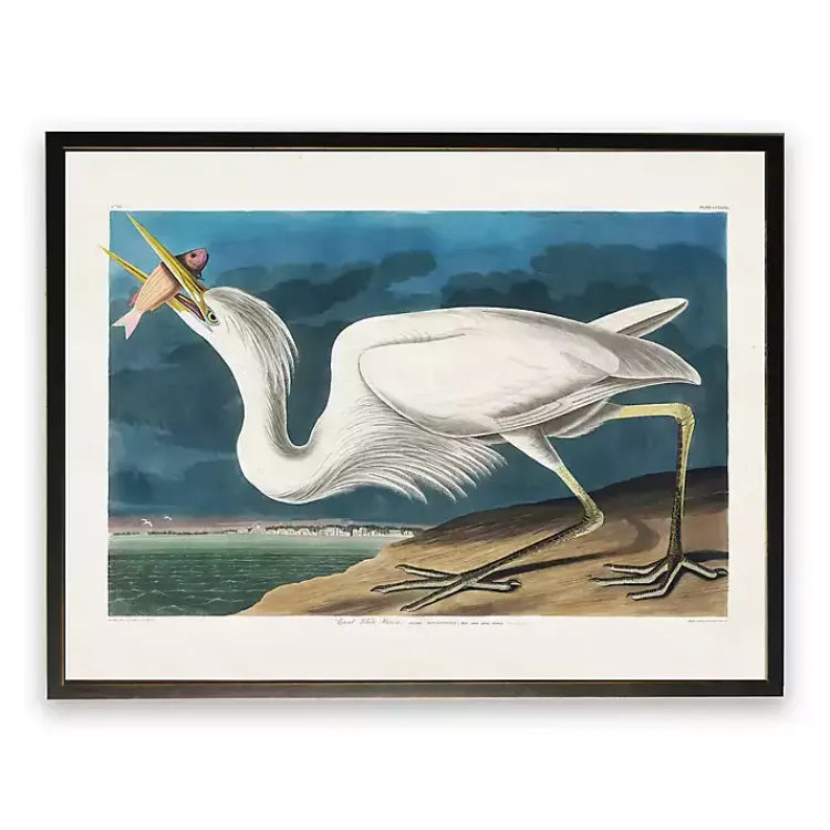 Framed Art-Kirklands Home Vintage White Pelican With Fish Framed Art Print