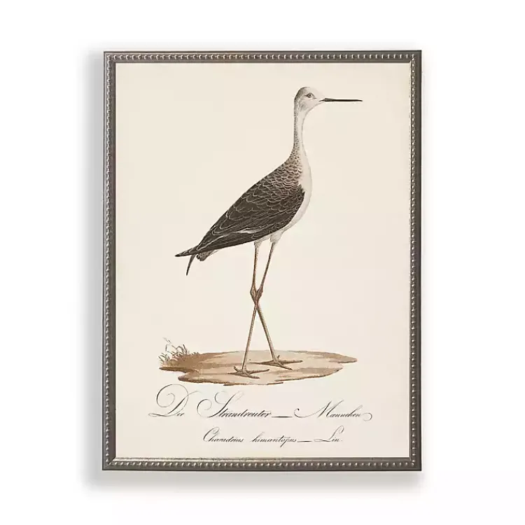 Framed Art-Kirklands Home Vintage Waterbird Facing Right Framed Art Print