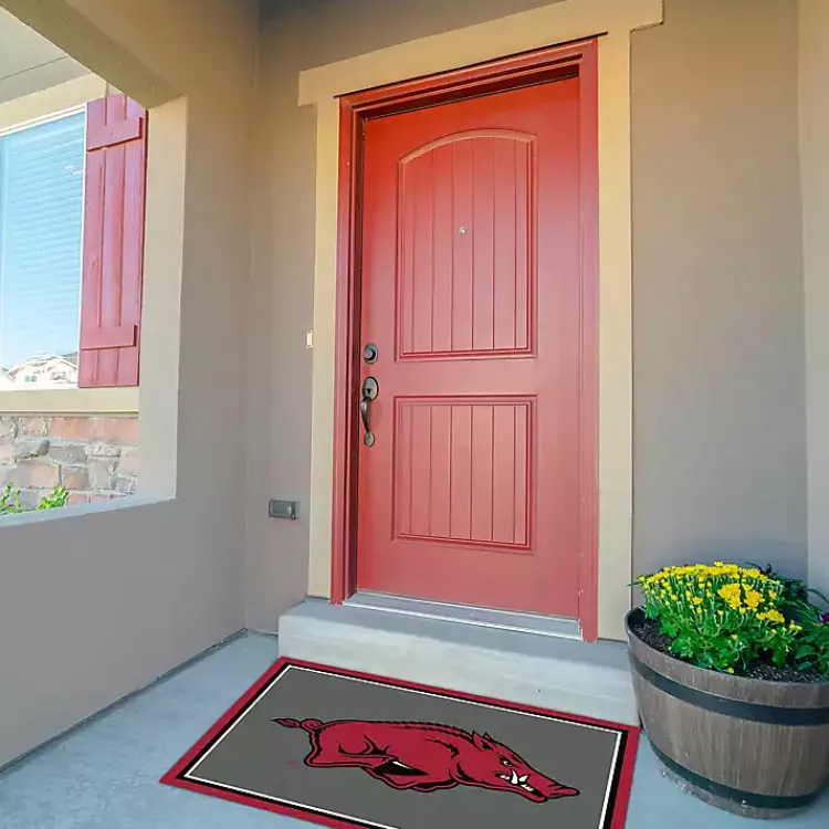 Area Rugs-Kirklands Home University of Arkansas Area Rug, 3x4