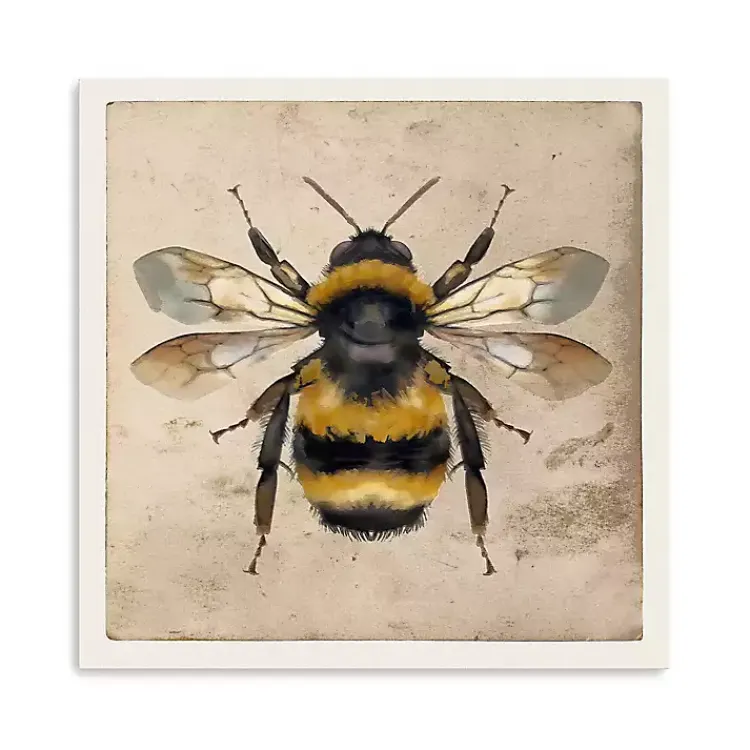 Canvas Art-Kirklands Home Bumblebee Anatomy Canvas Art Print