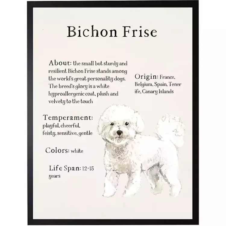 Wall Quotes & Signs-Kirklands Home Bichon Frise Facts Framed Wall Plaque