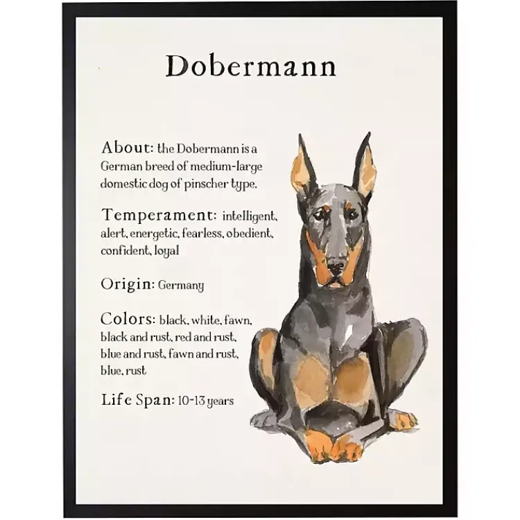 Wall Quotes & Signs-Kirklands Home Dobermann Facts Framed Wall Plaque