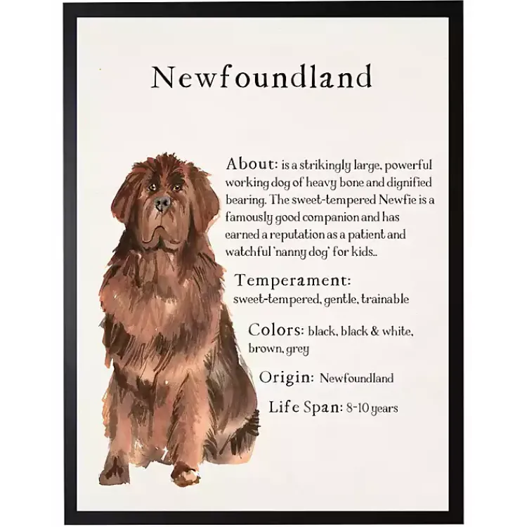 Wall Quotes & Signs-Kirklands Home Newfoundland Facts Framed Wall Plaque