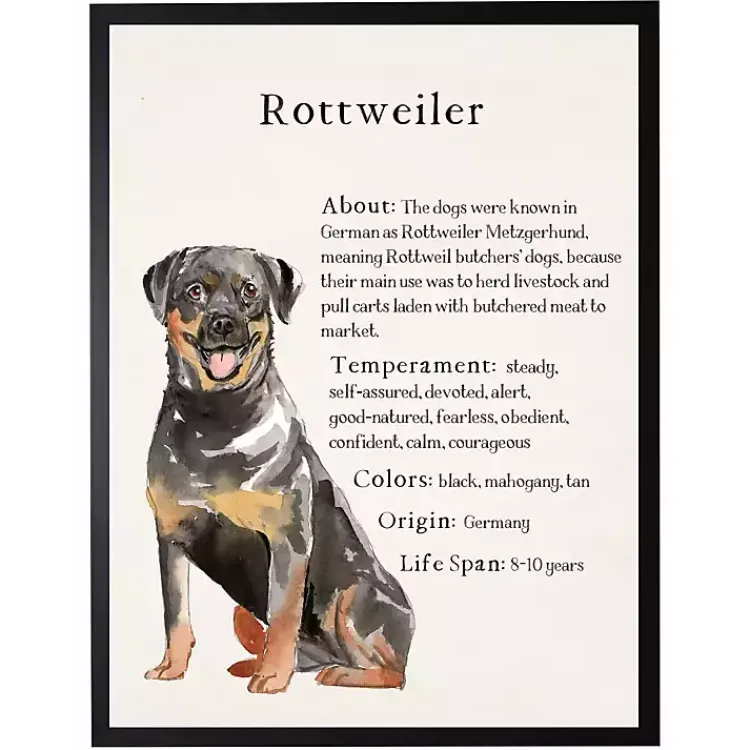 Wall Quotes & Signs-Kirklands Home Rottweiler Facts Framed Wall Plaque