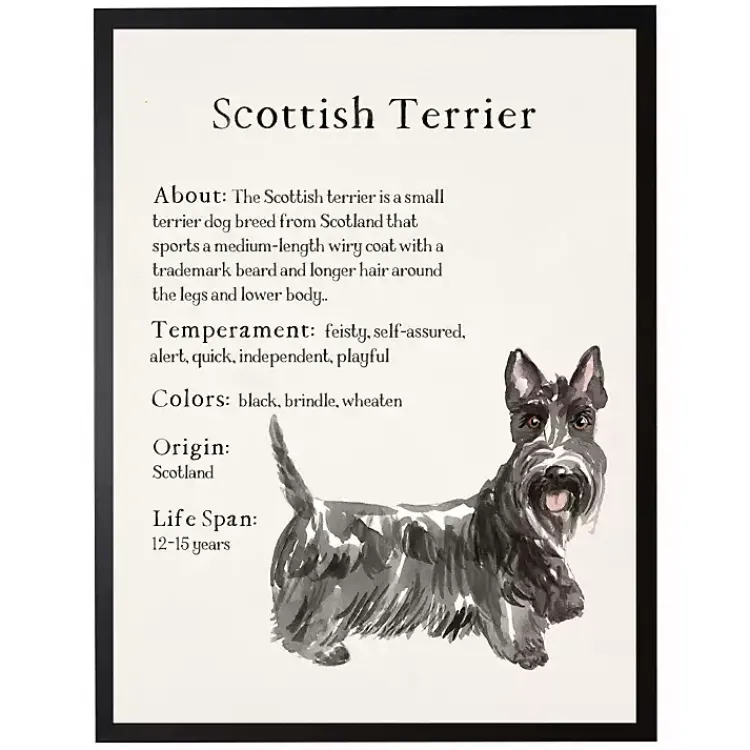 Wall Quotes & Signs-Kirklands Home Scottish Terrier Facts Framed Wall Plaque