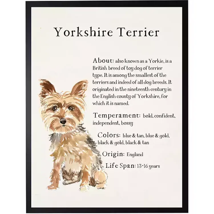 Wall Quotes & Signs-Kirklands Home Yorkshire Terrier Facts Framed Wall Plaque