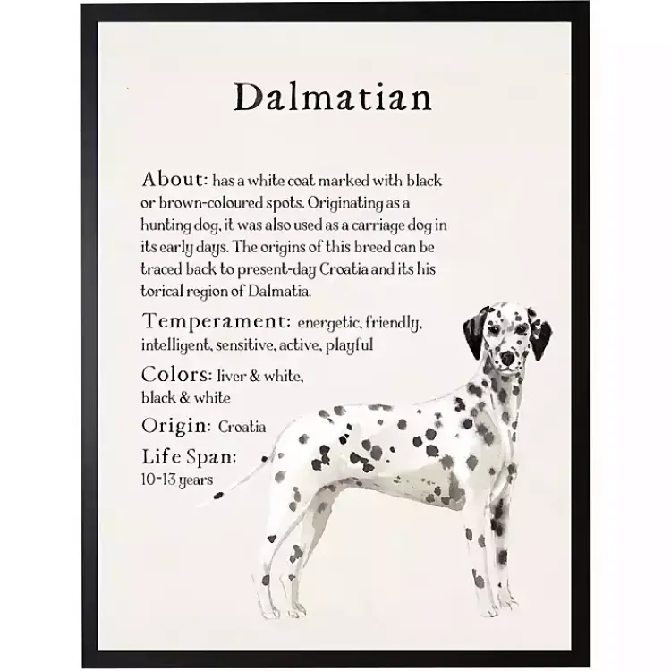 Wall Quotes & Signs-Kirklands Home Dalmation Facts Framed Wall Plaque