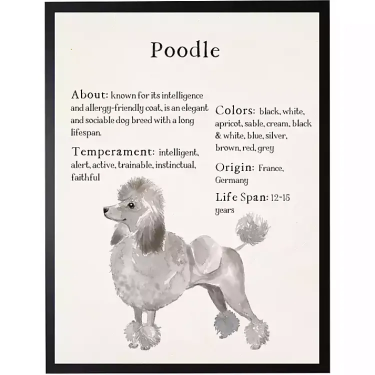 Wall Quotes & Signs-Kirklands Home Poodle Facts Framed Wall Plaque