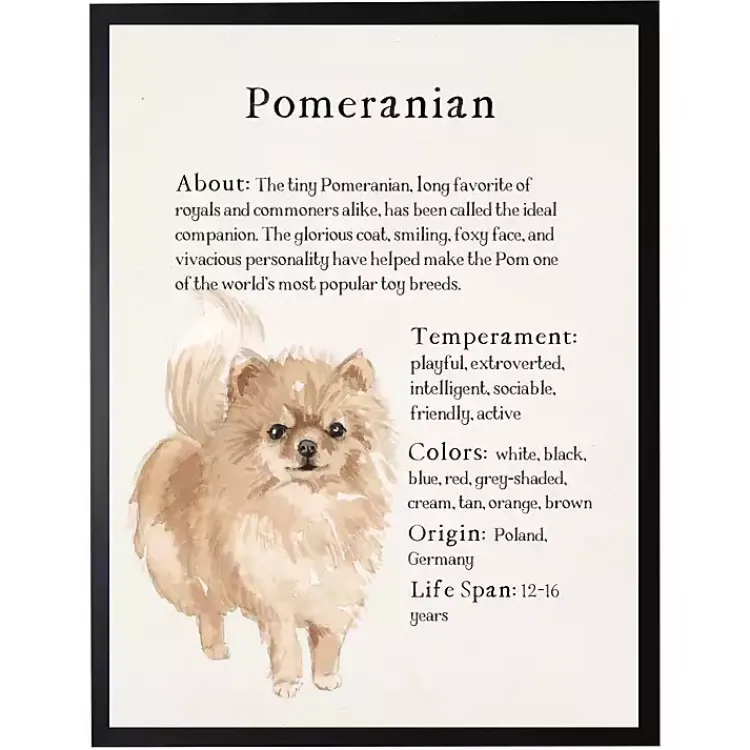 Wall Quotes & Signs-Kirklands Home Pomeranian Facts Framed Wall Plaque