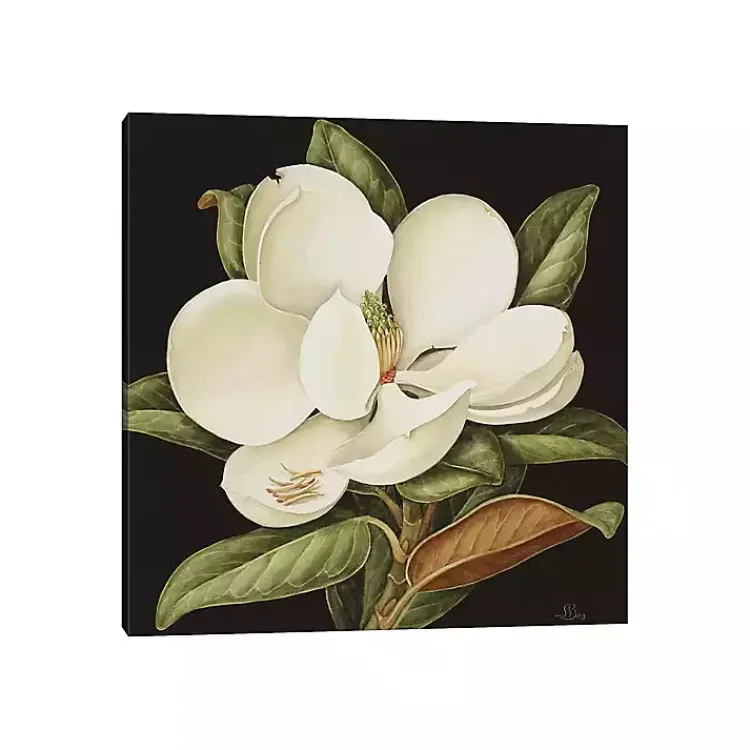 Canvas Art-Kirklands Home Magnolia Grandiflora Canvas Art Print White